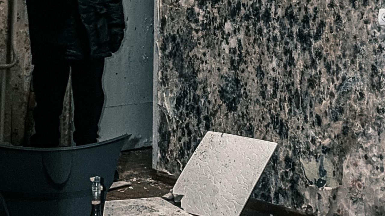 Moisissure au niveau des plinthes