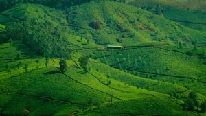 1 hectare en m²