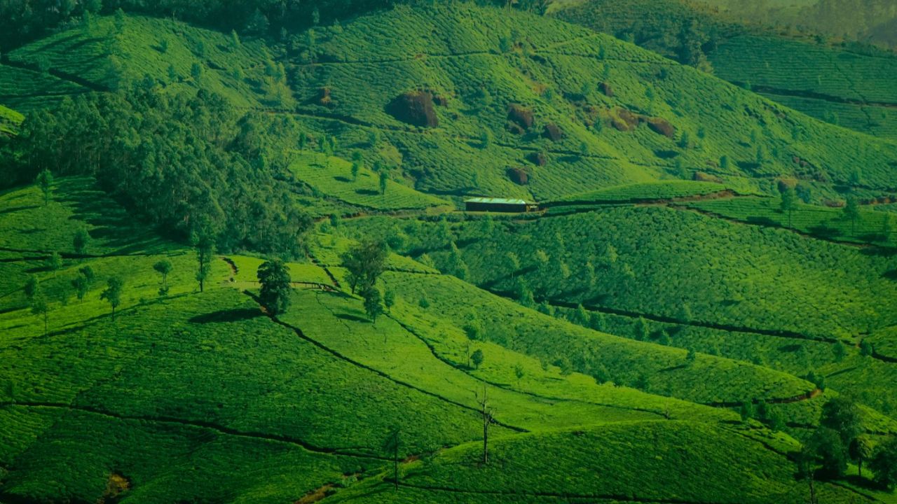 1 hectare en m²