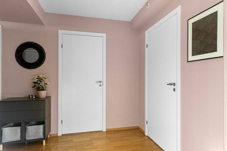 Couleur porte intérieure